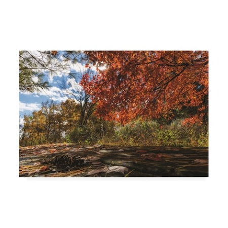 Kurt Shaffer Photographs 'Autumn Picnic' Canvas Art,22x32